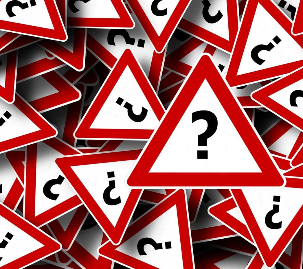 Professional Therapy Support